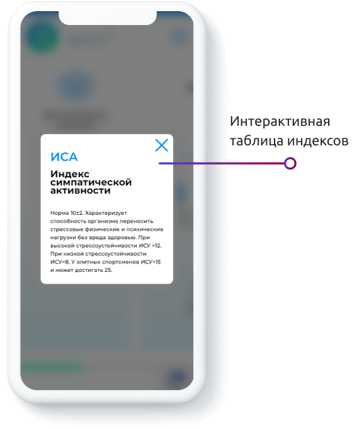 Разработка сайта ОКРИС — особенности проекта