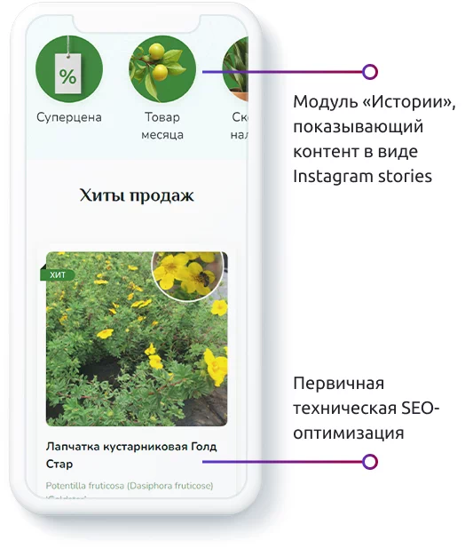 Разработка сайта Гавриш — особенности проекта