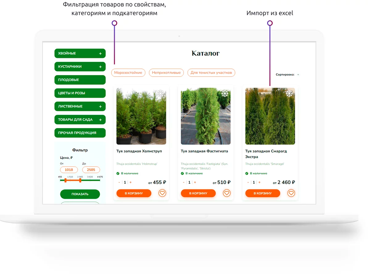 Разработка сайта Гавриш — особенности проекта
