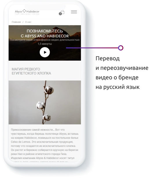 Разработка сайта Abyss & Habidecor — особенности проекта