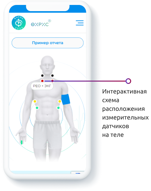 Разработка сайта ОКРИС — особенности проекта